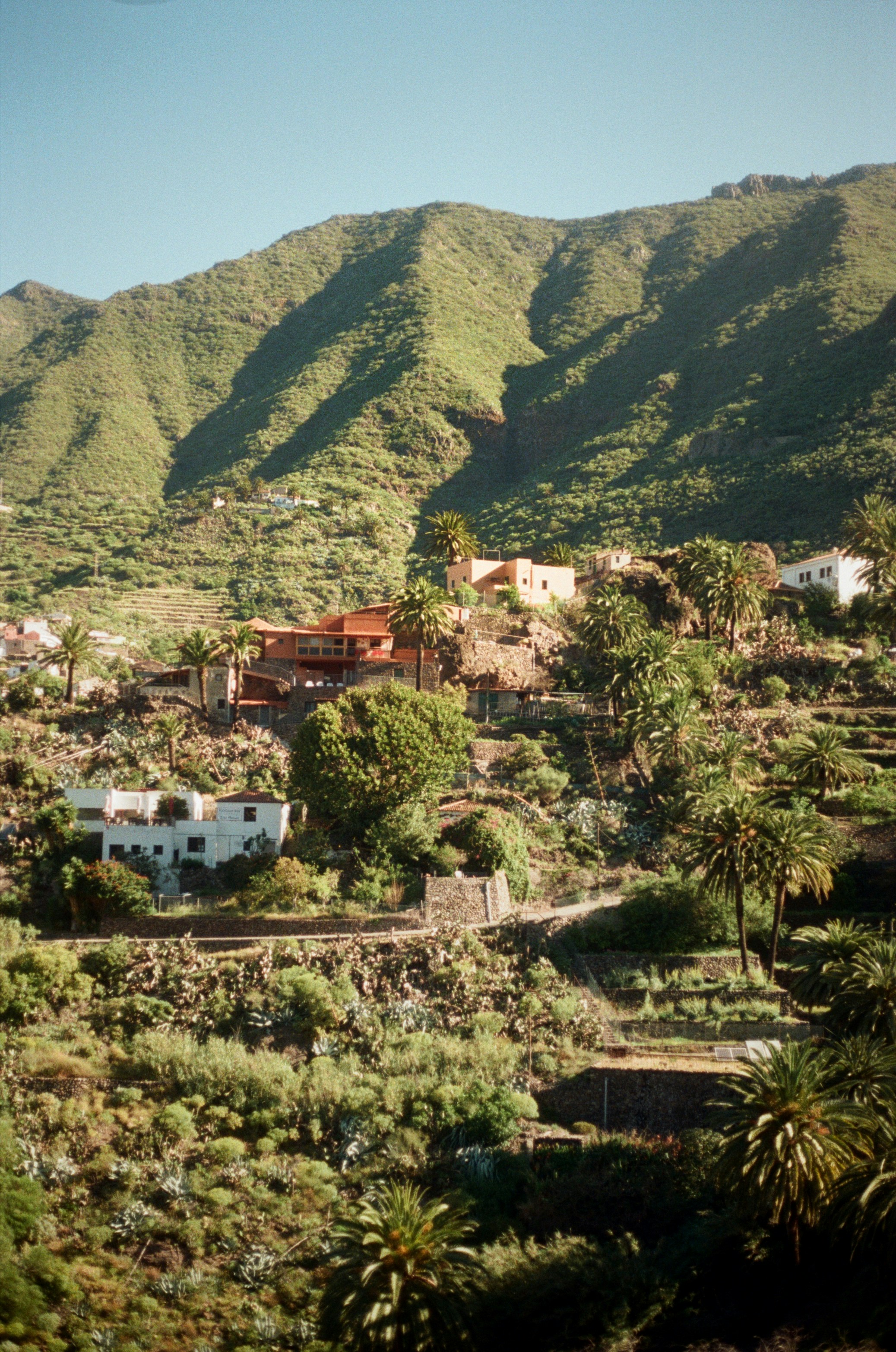 barbare-kacharava-aJoLPg70nw0-unsplash.jpg