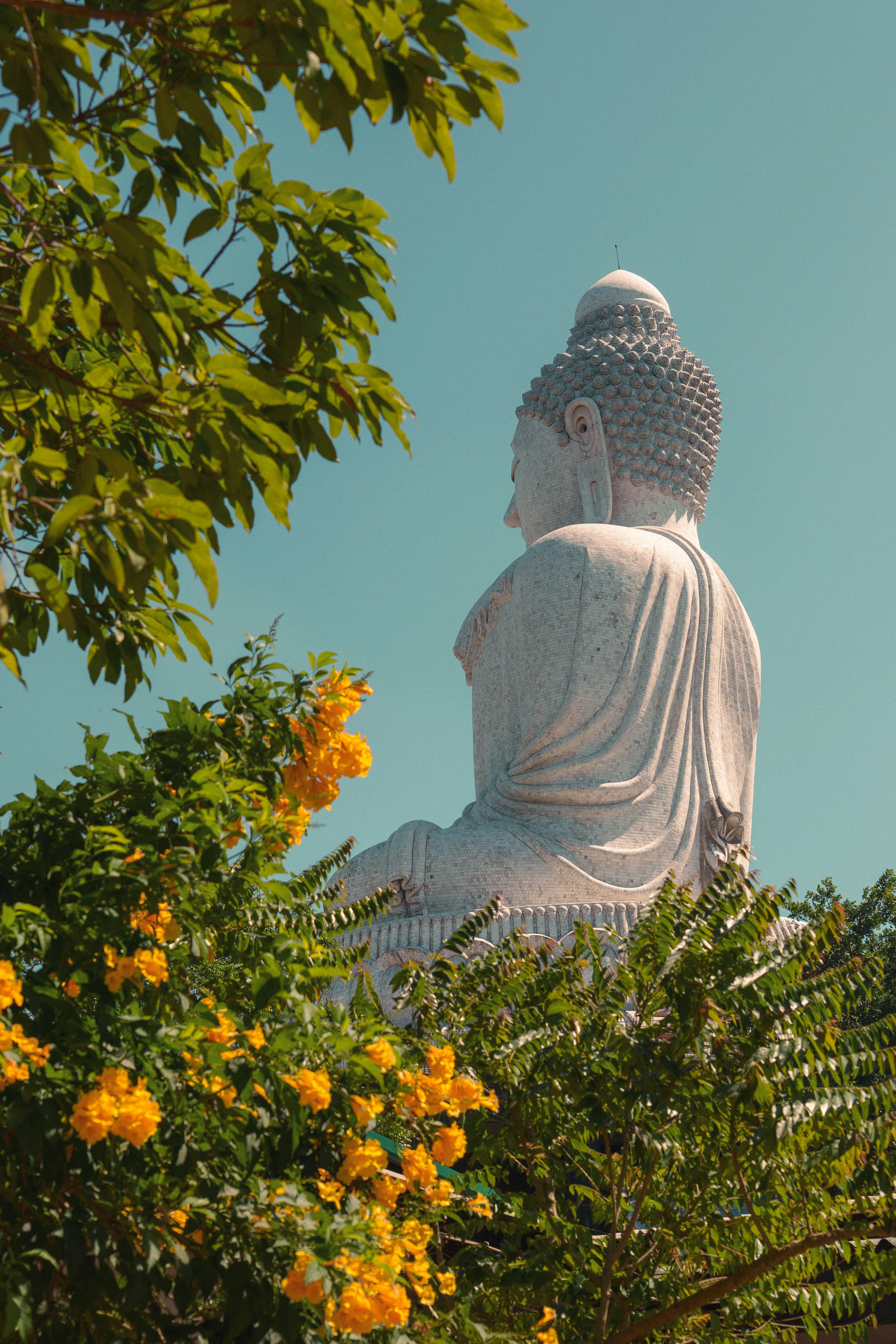 sohan-rayguru-amB-6ZFl4_4-unsplash.jpg
